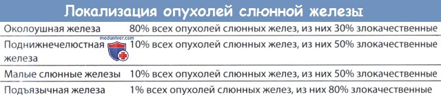 Локализация опухоли в слюнных железах