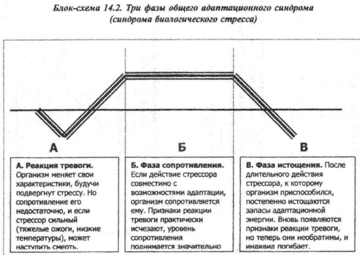 Адаптационный синдром