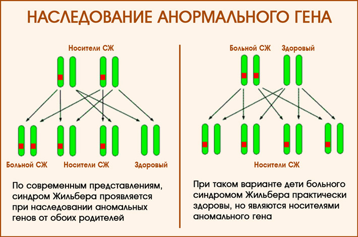 Наследование аномальных генов